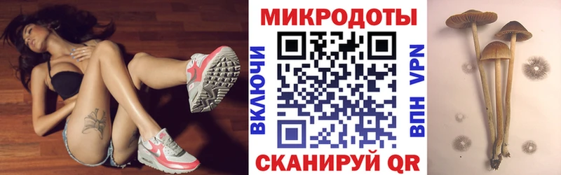 МЕГА ССЫЛКА  Кимры  Галлюциногенные грибы Psilocybe 